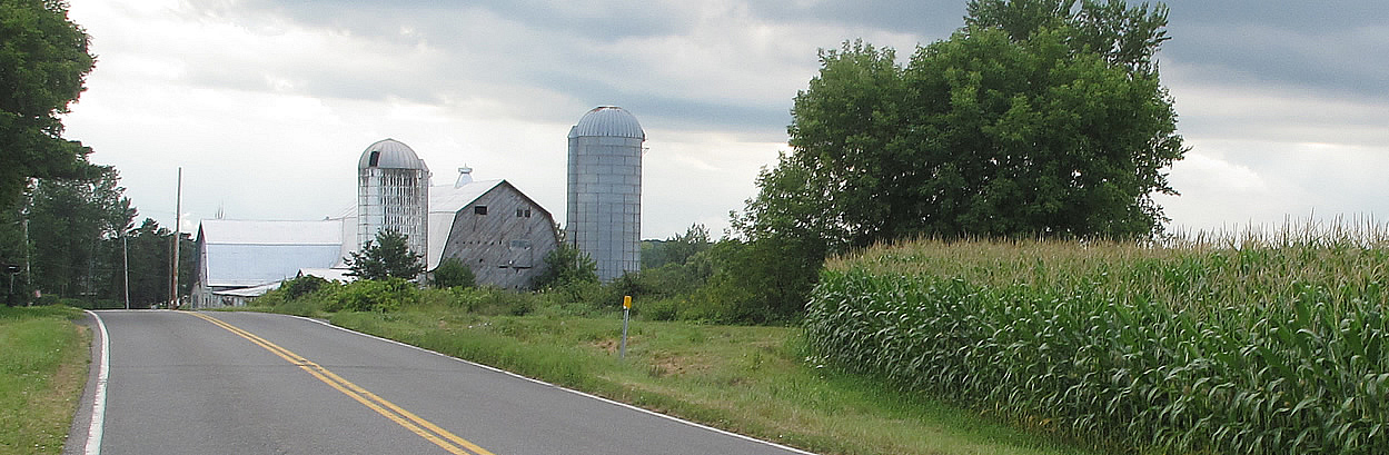 Old run down barn, road, corn crops